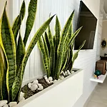 Casa Dolce Casa