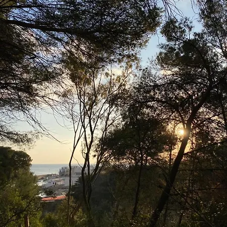 Bed & Breakfast Casa Dolce Casa Nardo